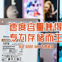 速度与容量兼得，专为存储而生的NAS 专用硬盘｜东芝N300硬盘测评