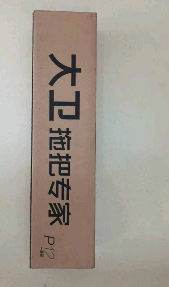 大卫拖把