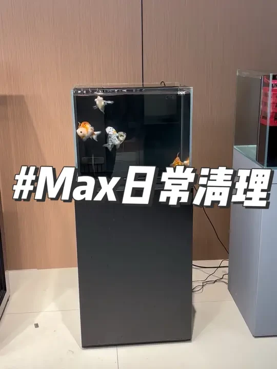 记录展示下Max系列的日常清理，真正的干湿分离背滤清理打理就是这么朴实无华，简单又快速#过滤系统 #空气缸