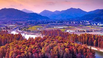 包邮区赏秋天花板！一趟自驾看遍秋天99%元素！古村柿子、银杏红枫...现在来能尝到顶级秋“鲜”！ 