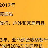 营收破千万美元！国产箱包亚马逊战绩辉煌，年均增速20%！