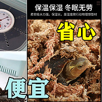 新手必看！乌龟常见冬眠方法详解