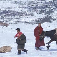 “立冬无雨一冬晴，立冬有雨一冬烂”，2024年冬天是暖冬还是寒冬