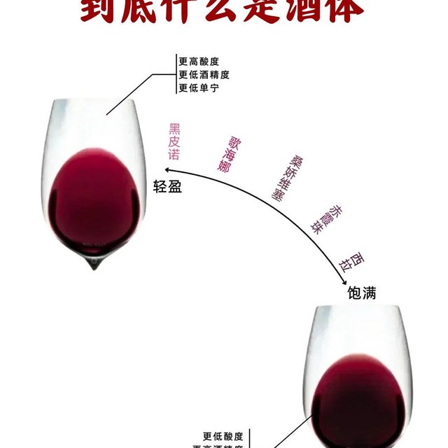 一个词让别人知道你懂酒‼酒鬼必备术语🍷