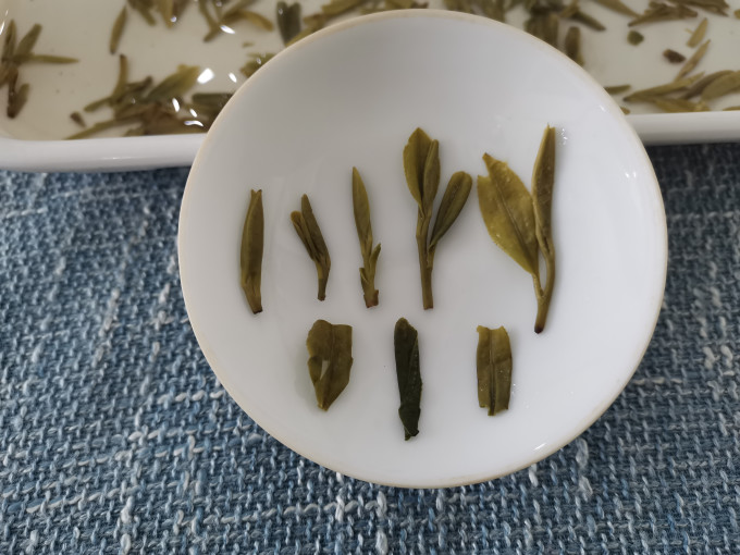 贡牌绿茶