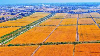 上海南通周边有其他小众景区适合去游玩吗？一篇攻略带你了解 