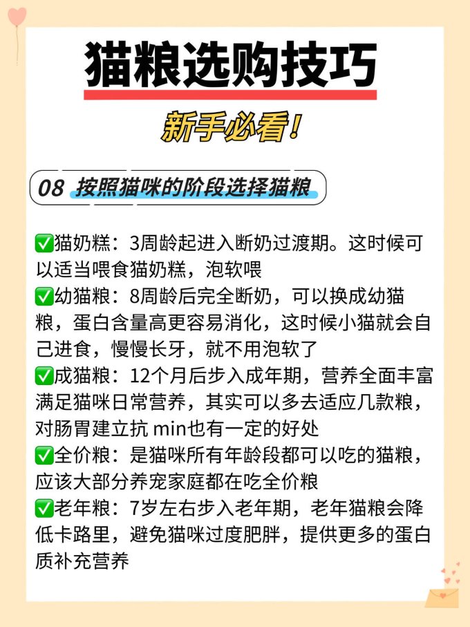 猫咪干粮