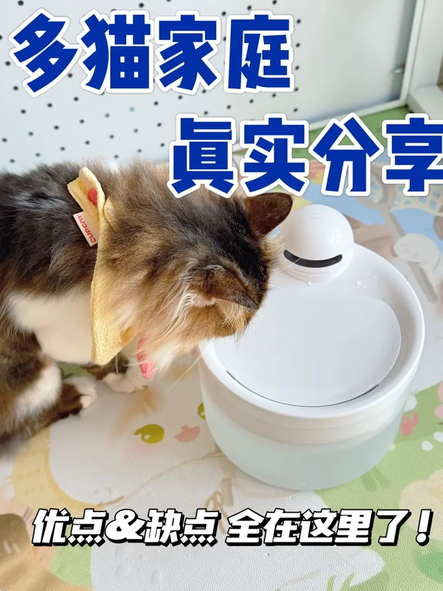 多猫家庭饮水机测评！1000字真实分享！！
