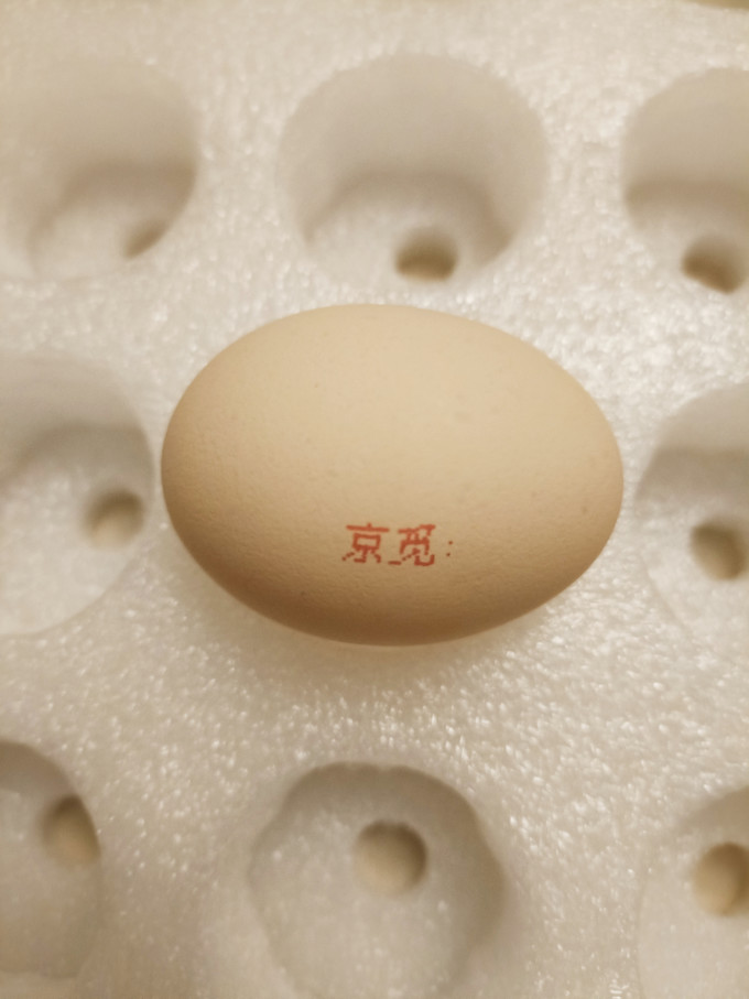京觅蛋类