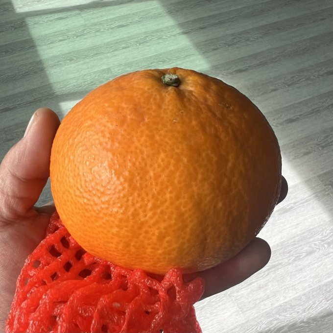 新鲜水果