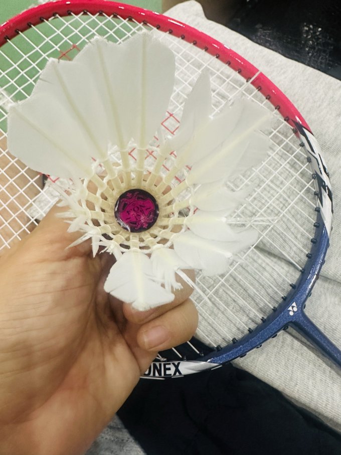 亚狮龙羽毛球