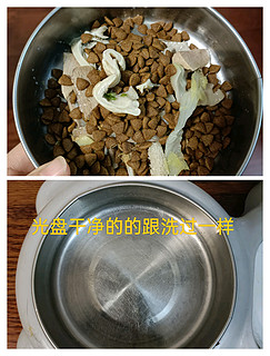 光盘狗狗这次吃莱茜肉松狗粮