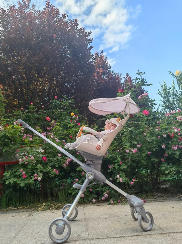 省妈神器—遛娃神器