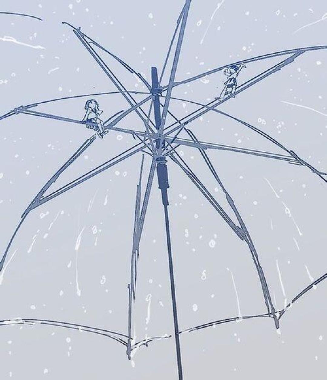 一伞在手,风雨无阻!详解雨伞构造与材质,助你选对好伞