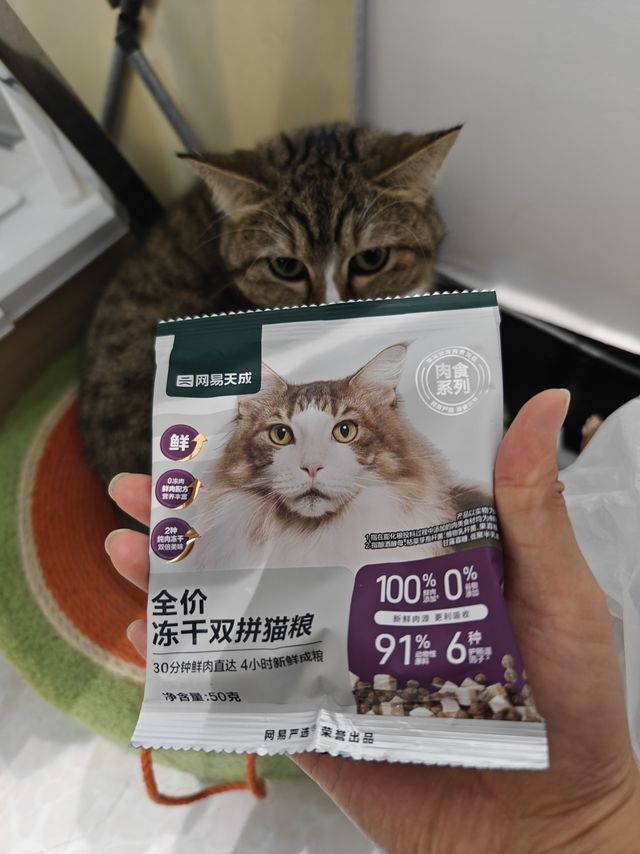 网易双拼升级猫粮升级了3.0