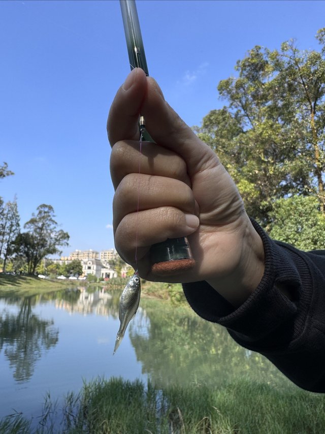 开杆成功