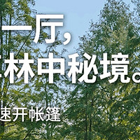 NatureHike挪客屋脊自动速开帐篷：户外探险的理想伴侣