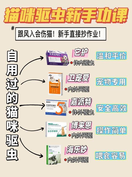 养猫建议：新手跟风入猫咪驱虫容易伤猫
