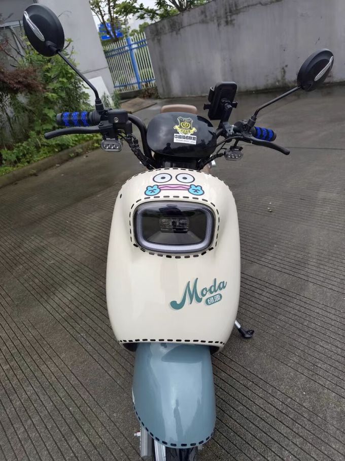 绿源电动车整车