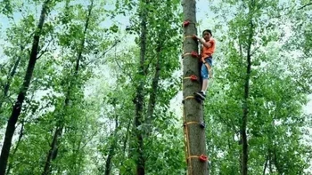 三六六社会实践，探秘桐洲岛，一场迷失与探索的研学盛宴！ 
