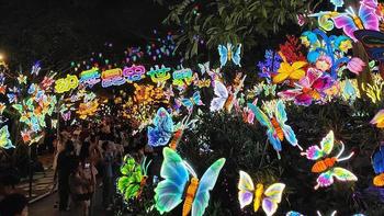 探秘桂黔滇，半个月旅游新体验15-矮马投喂+夜花园花灯 