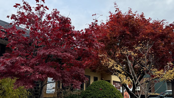 在日本的日子：一个背包，一个日本！第十周！洞爷湖登别！ 