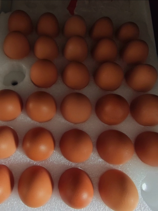 正大鸡蛋 好吃不止一点点