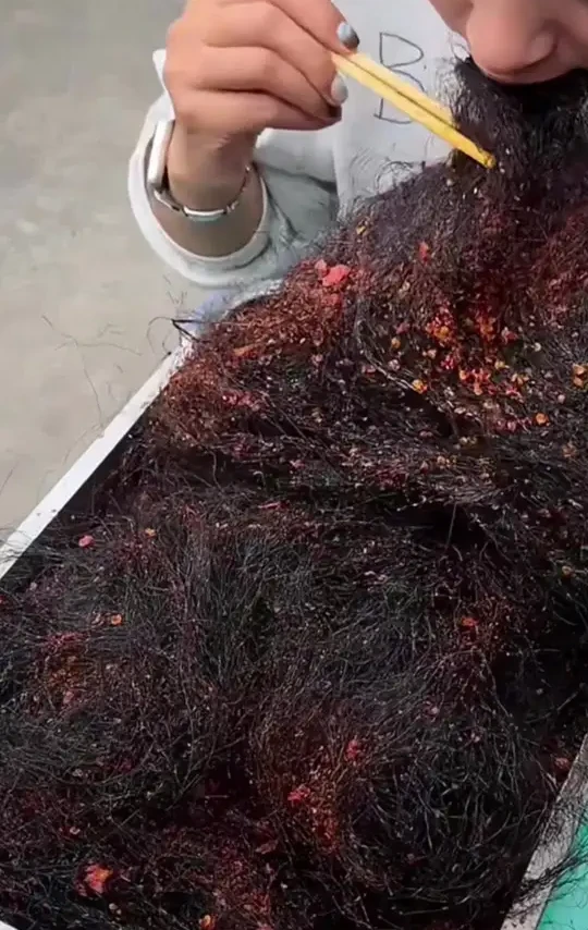 #在家做美食 牛羊肉做法