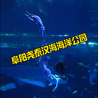 ✨哇～美人鱼耶🧜‍♀️