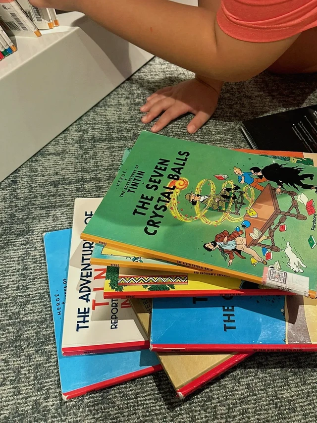 🇸🇬小学生阅读兴趣培养 好书推荐