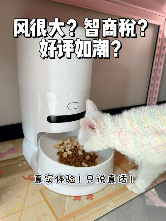 测评｜hiigge喂食器真的是智商税吗？