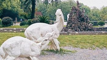 周末又多了一个宝藏去处，这份吸氧指南请收下！ 