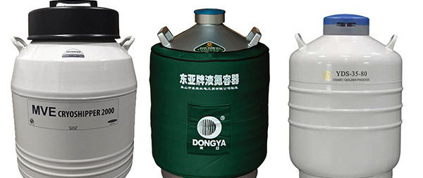 长时间不使用液氮罐时的正确操作步骤