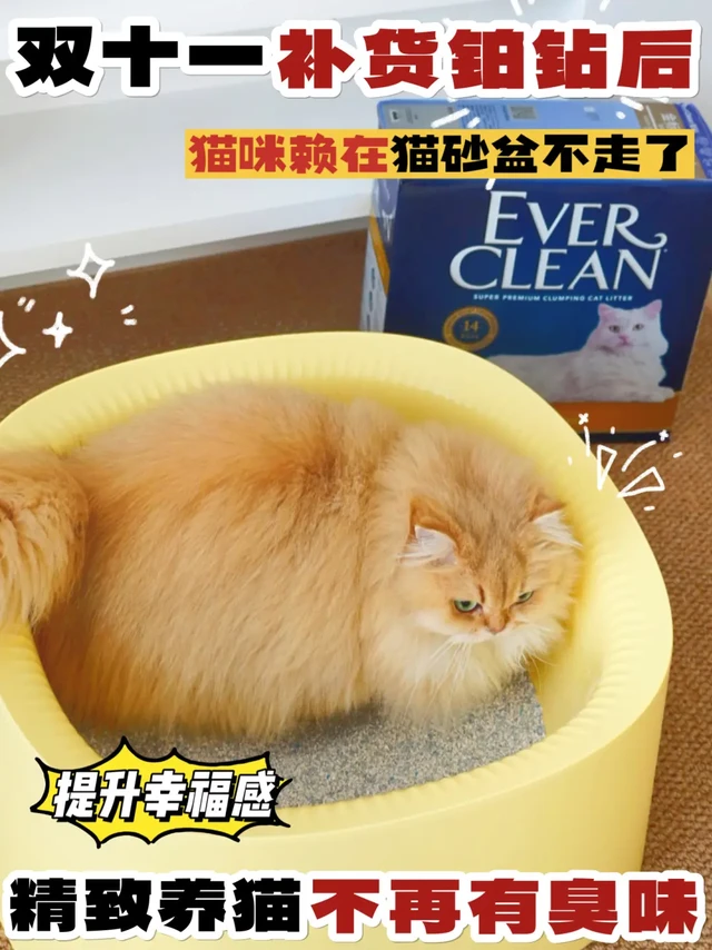 双十一补货铂钻猫砂后，彻底祛媚了...
