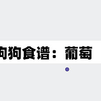 狗狗食谱丨狗狗能吃葡萄吗？我真的超爱