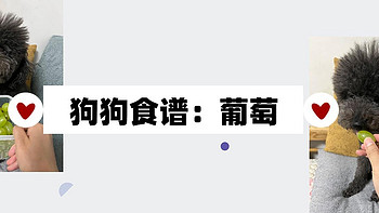 狗狗食谱丨狗狗能吃葡萄吗？我真的超爱