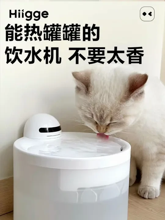 一款饮水机四种玩法，猫咪都把它当玩具了。 #hiigge雪顶饮水机 #萌宠好物 #热点 #智能饮水机 #猫咪饮水机