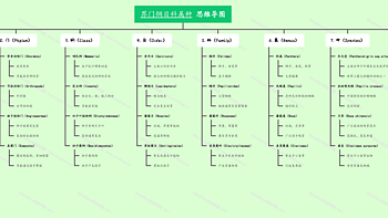 界门纲目科属种 思维导图分享（来自MindNow思维导图软件）