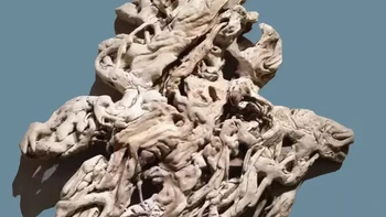 1001中国品牌故事|不多堂 