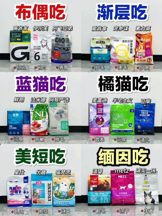 不同猫咪怎么选猫粮？这篇全告诉你