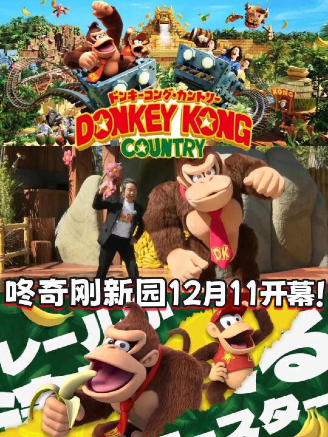 任天堂USJ推出“咚奇刚国度”，12月11日开幕，宫本茂带你探险热带丛林