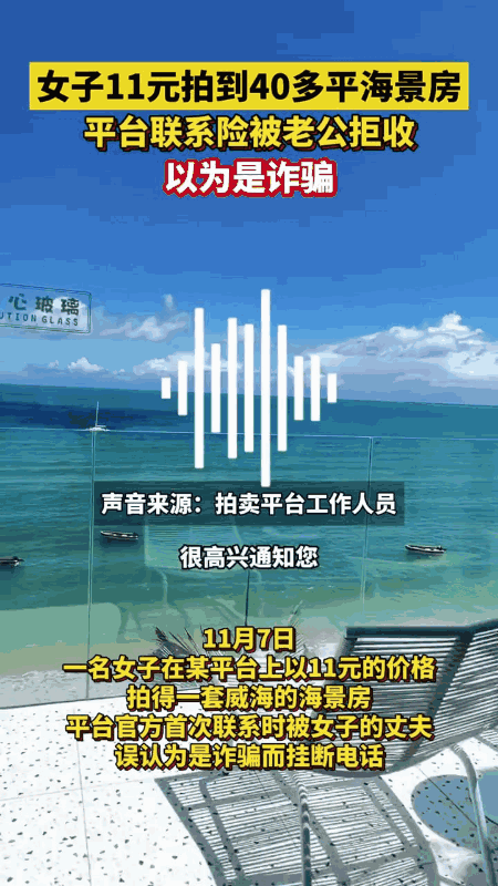 女子11元竞得海景房,拍卖公司:属实
