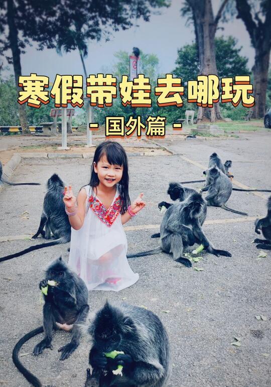 必存‼️适合寒假亲子游的国外旅游地集合✈️