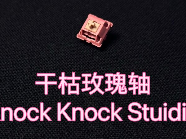 干枯玫瑰轴丨满足了我对闷响轴的幻想