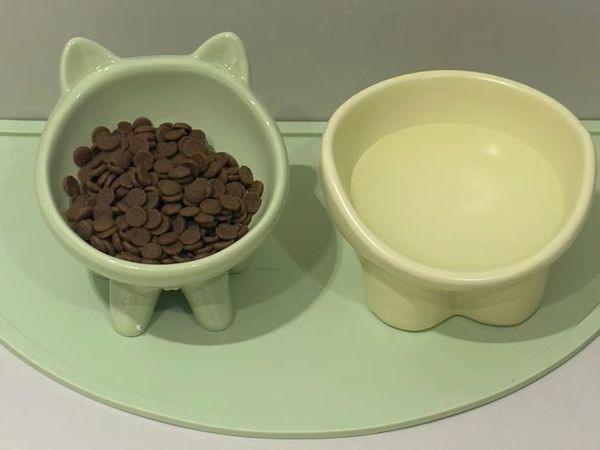 陶瓷猫碗：颜值与实用性兼具的猫咪餐具