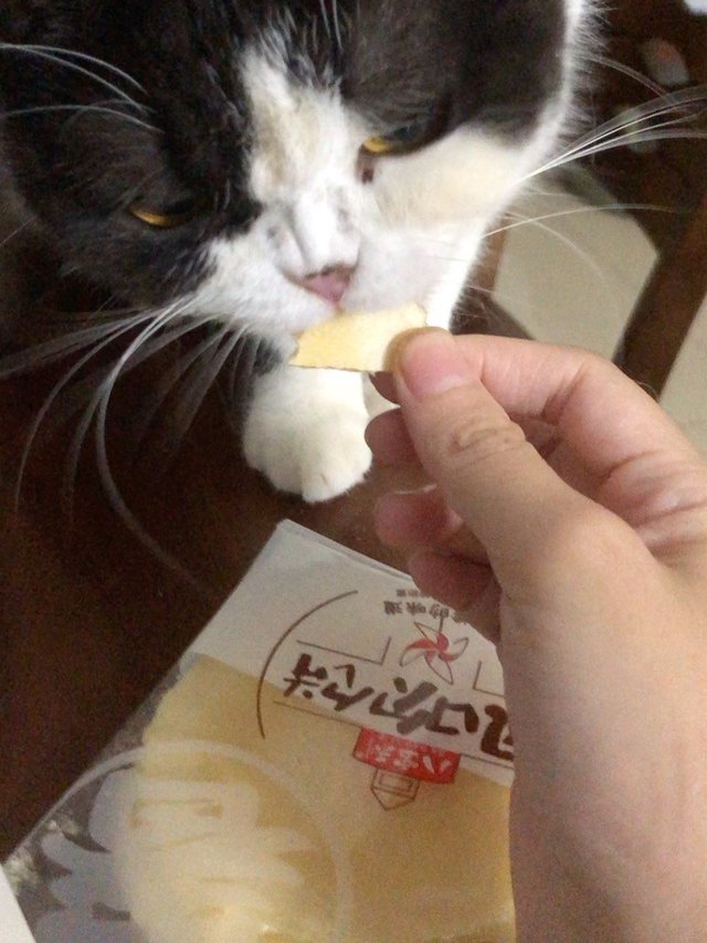 真的好吃啊！这风吹饼咔咔的好吃～