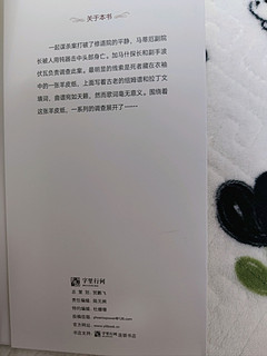 书页间的侦探冒险，《美丽之谜》让你爱不释手📖