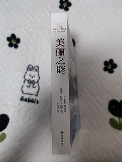 书页间的侦探冒险，《美丽之谜》让你爱不释手📖