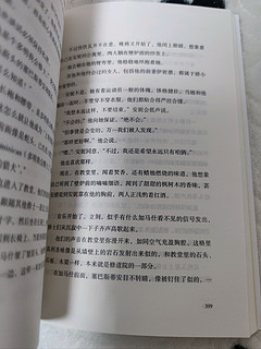 书页间的侦探冒险，《美丽之谜》让你爱不释手📖