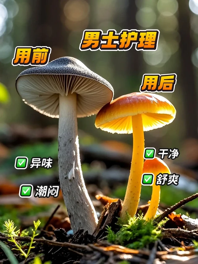 德国哈恩男士护理洗液！
